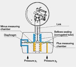 Differential pressure gauge